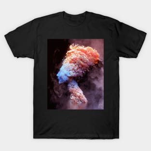 The Curse of Beauty T-Shirt